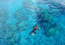 필리핀 첫 스노클링의 추억 – 사방 비치 산호초 군락 포인트 푸른바다에서 스노클링 하는 남자