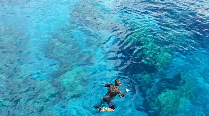 필리핀 첫 스노클링의 추억 – 사방 비치 산호초 군락 포인트 푸른바다에서 스노클링 하는 남자