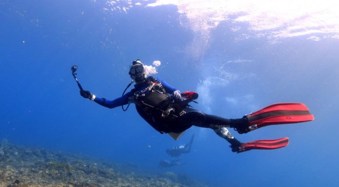 인도네시아 코모도아일랜드 리브어보드2018 바닷속 풀영상 다이빙홀릭 중인 다이브중인 모습