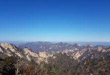 팔딱팔딱한 별빛의 중청대피소 등반일기 I (설악산)