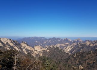 팔딱팔딱한 별빛의 중청대피소 등반일기 I (설악산)