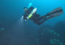 2019.01.01 새해기념 일출다이빙 – 황금돼지띠해 동해 바닷속도 황금색으로 물들다 (스쿠버다이빙)