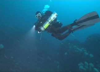 2019.01.01 새해기념 일출다이빙 – 황금돼지띠해 동해 바닷속도 황금색으로 물들다 (스쿠버다이빙)