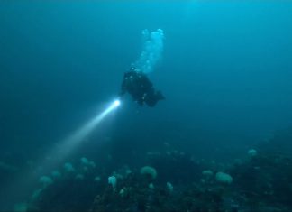 잠못들때, 수면부족, 잠잘오는 편안한영상과 소리의 ASMR