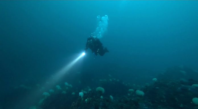 잠못들때, 수면부족, 잠잘오는 편안한영상과 소리의 ASMR