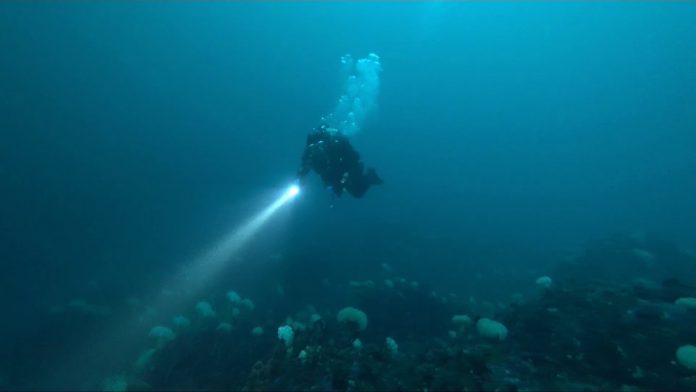 잠못들때, 수면부족, 잠잘오는 편안한영상과 소리의 ASMR