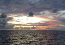 인도네시아 코모도 리브어보드 준비(INDONESIA KOMODO LIVEABOARD)