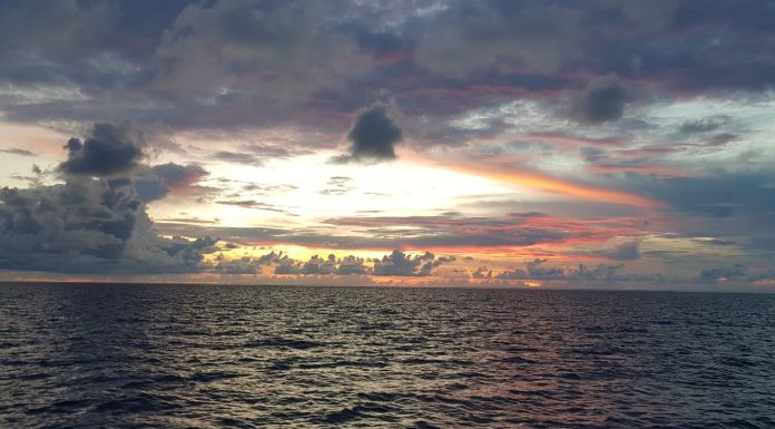 인도네시아 코모도 리브어보드 준비(INDONESIA KOMODO LIVEABOARD)