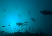 스쿠버다이빙 교육, 어디서 누구에게 받을까? (단체, 강사 선택 방법에 대한 조언) 수중유영중인 스쿠버 다이버들