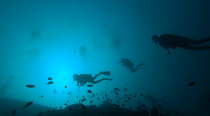 스쿠버다이빙 교육, 어디서 누구에게 받을까? (단체, 강사 선택 방법에 대한 조언) 수중유영중인 스쿠버 다이버들