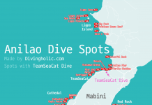 필리핀 마닐라와 가까운 아닐라오의 스쿠버 & 프리 다이빙 포인트(Spots)