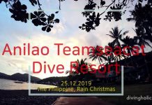 아닐라오에서 다이빙과 휴식을 동시에! 팀씨캣 다이브 리조트 후기