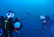 옥토 관리와 버디에게 옥토를 줄때 주의사항 팁