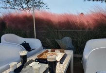 대구 핑크뮬리까페, 소금커피 맛집 161커피 스튜디오