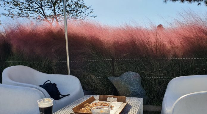 대구 핑크뮬리까페, 소금커피 맛집 161커피 스튜디오