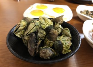 거북손 먹어 볼 수 있는 추자도 맛집 – 보라네