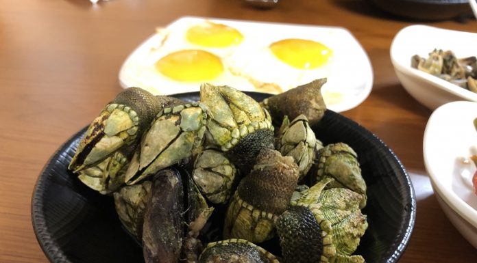 거북손 먹어 볼 수 있는 추자도 맛집 – 보라네