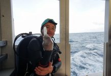 몰디브에서 콘돔 끼고 다이빙한 이유