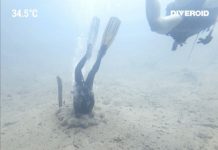 바라쿠다 레이크에서 이색적인 스쿠버 다이빙 후기 (필리핀 코론 다이빙)