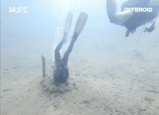 바라쿠다 레이크에서 이색적인 스쿠버 다이빙 후기 (필리핀 코론 다이빙)