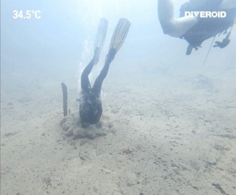 바라쿠다 레이크에서 이색적인 스쿠버 다이빙 후기 (필리핀 코론 다이빙)