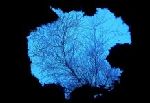 난파선 렉다이빙의 성지, 코론을 가다! (가는방법, 스쿠버 다이빙샵 후기 – 필리핀 팔라완 부수앙가)