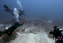 발리 렘봉안 섬 레전드 다이빙 샵 후기, 개복치와 만타레이 보러 인도네시아로! ( 누사 렘봉안과 페니다 섬 스쿠버다이빙 후기)
