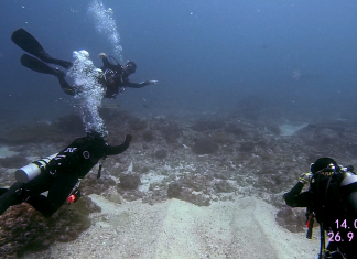 발리 렘봉안 섬 레전드 다이빙 샵 후기, 개복치와 만타레이 보러 인도네시아로! ( 누사 렘봉안과 페니다 섬 스쿠버다이빙 후기)