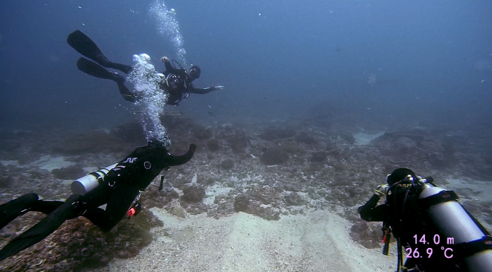 발리 렘봉안 섬 레전드 다이빙 샵 후기, 개복치와 만타레이 보러 인도네시아로! ( 누사 렘봉안과 페니다 섬 스쿠버다이빙 후기)