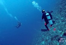 스쿠버다이빙 중 NDL(무감압한계시간)을 초과했을 때 대처방법 (권장 안전정지와 의무안전정지 차이)