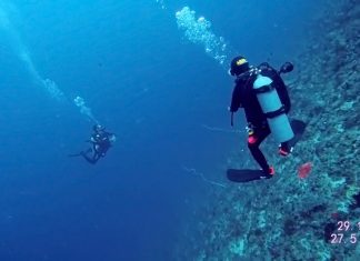 스쿠버다이빙 중 NDL(무감압한계시간)을 초과했을 때 대처방법 (권장 안전정지와 의무안전정지 차이)