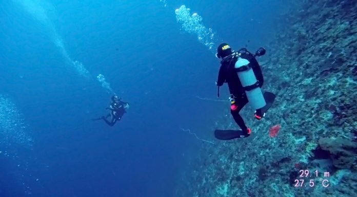 스쿠버다이빙 중 NDL(무감압한계시간)을 초과했을 때 대처방법 (권장 안전정지와 의무안전정지 차이)