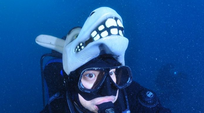 스쿠버다이빙 드라이슈트 잘 침수되는 부위와 방지법 (침수사례 들 살펴보기)