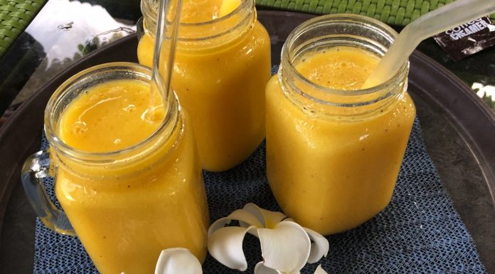 2023년 필리핀 물가 아닐라오 다이빙 패키지 비용 및 교통비 현지물가 기록 (마닐라 바탕가스 마비니)