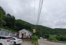 강원도 강릉 대관령 양떼목장과 가까운 맛집 이촌쉼터 (다이빙 가는길 맛집 소개)