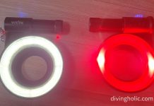 링라이트 위파인 1000과 XA 3000 링라이트의 비교 (수중 마크로 사진,영상 촬영을 위한 Weefine 제품리뷰)