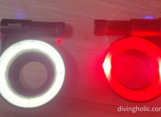 링라이트 위파인 1000과 XA 3000 링라이트의 비교 (수중 마크로 사진,영상 촬영을 위한 Weefine 제품리뷰)