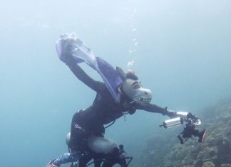 필리핀 아닐라오 다이빙샵 팀씨캣 재방문 후기 (마닐라 근처 스쿠버다이빙 샵)