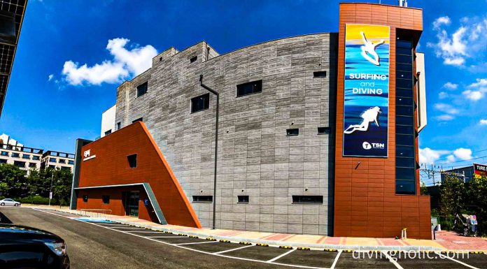 테마 잠수풀 이용 후기 – 경기도 오산 TSN 다이빙 & 서핑 테마 다이빙풀 그 옆에 간판이 있는 큰 건물