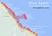 뚤람벤, 아메드 다이빙 사이트 스팟과 환경 소개 (인도네시아 발리 본섬 스쿠버다이빙 포인트)