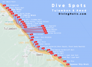 뚤람벤, 아메드 다이빙 사이트 스팟과 환경 소개 (인도네시아 발리 본섬 스쿠버다이빙 포인트)