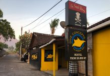 뚤람벤&아메드 다이빙샵, 다이브 컨셉트 후기 – Dive Concepts 와 함께한 발리 바다