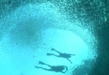 보홀 나팔링 스노클링 이동방법과 비용 및 안전에 주의할점들