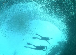보홀 나팔링 스노클링 이동방법과 비용 및 안전에 주의할점들