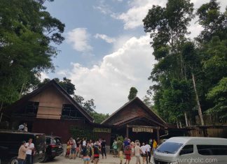 필리핀 보홀 노플라이타임을 활용한 추천 스쿠터 여행지와 스쿠터 렌탈