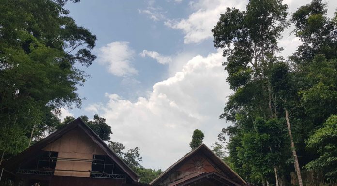 필리핀 보홀 노플라이타임을 활용한 추천 스쿠터 여행지와 스쿠터 렌탈