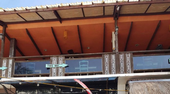 보홀 추천 스쿠버 다이빙 체험 & 스노클링 현지 다이빙샵 – 피라타스알로나 후기