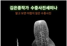 김은종작가의 수중사진 세미나 참가 후기 – 스쿠버다이빙 수중 촬영