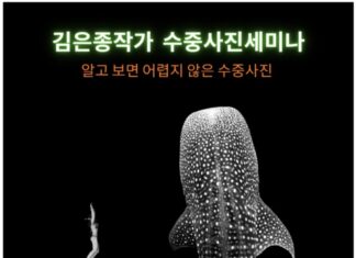 김은종작가의 수중사진 세미나 참가 후기 – 스쿠버다이빙 수중 촬영