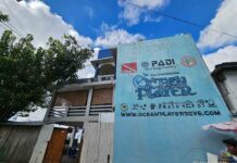 세부 오션플레이어 다이빙샵과 소소한 맛집 추천, 오션뷰는 덤